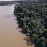 Desmatamento na Amazônia cai 61,4% em maio de 2026