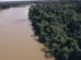 Desmatamento na Amazônia cai 61,4% em maio de 2026