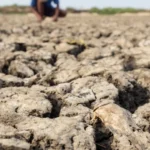 El Niño começou e ficará intenso no final do ano, aponta agência dos EUA
