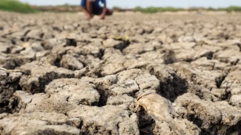 El Niño começou e ficará intenso no final do ano, aponta agência dos EUA