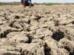 El Niño começou e ficará intenso no final do ano, aponta agência dos EUA