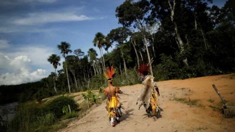 Fazendeiros usam agrotóxicos para expulsar aldeia indígena em Rondônia, diz MPF