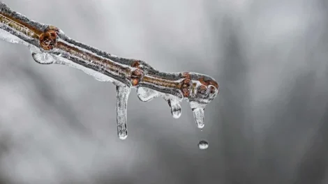 Frio persiste com risco de geada no Sul e Sudeste
