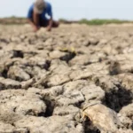 Guerra e El Niño levam economistas a projetar inflação de alimentos a 7%
