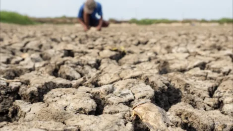 Guerra e El Niño levam economistas a projetar inflação de alimentos a 7%