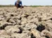 Guerra e El Niño levam economistas a projetar inflação de alimentos a 7%