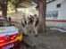 Homem é assassinado no centro de Maringá na manhã desta sexta-feira (19)