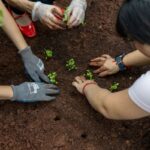 Mais de 250 municípios do PR e MS ganham hortas comunitárias com apoio da Itaipu e do Itaipu Parquetec