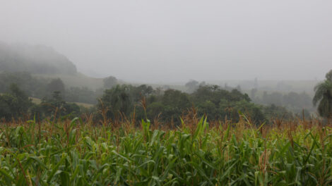 Maringá tem alerta de temporal e forte queda de temperatura nesta sexta-feira (12)