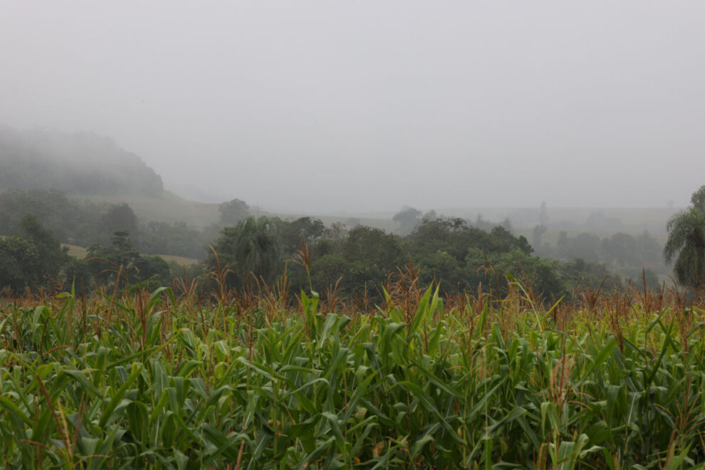 Maringá tem alerta de temporal e forte queda de temperatura nesta sexta-feira (12)