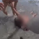 Mulher inconsciente no mar é salva pela polícia da Flórida; vídeo