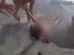 Mulher inconsciente no mar é salva pela polícia da Flórida; vídeo