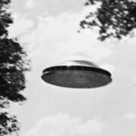 O que fazer se você ficar de cara com um alienígena?