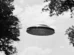 O que fazer se você ficar de cara com um alienígena?