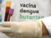 O que fazer se você tomou a vacina da dengue do Butantan, suspensa após reações adversas