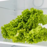 O truque para a alface durar um mês na geladeira sem estragar