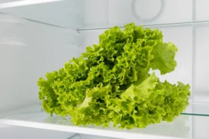 O truque para a alface durar um mês na geladeira sem estragar