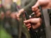 PF prende suspeito de fornecer fuzis AK-47 ao Comando Vermelho que estava no Suriname