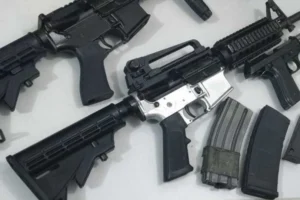 Polícia encontra 26 fuzis em caminhão com carga de ração animal