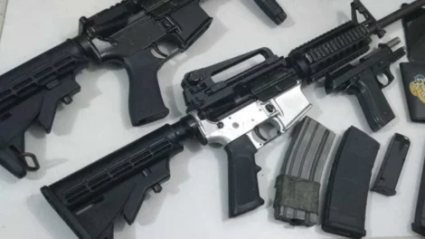 Polícia encontra 26 fuzis em caminhão com carga de ração animal