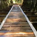 Ponte ferroviária histórica desaparece em Prados (MG) e é achada a 180 km