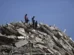 Por que não é possível prever um terremoto, como o que atingiu a Venezuela?