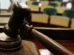 RJ é condenado a indenizar parentes de crianças mortas com tiro de fuzil em 2020
