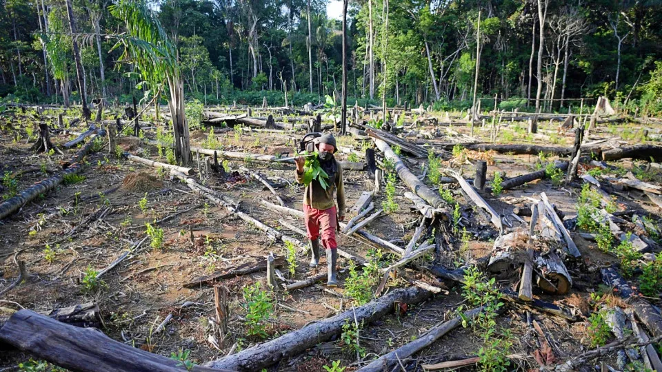 Relatório dos EUA contra Brasil cita avanço da soja e pico de desmatamento sob Bolsonaro