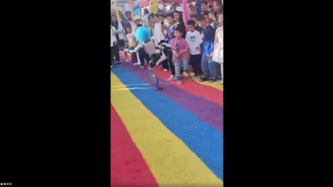 Robô chuta criança durante demonstração de artes marciais na China; vídeo