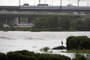 Tufão Jangmi deixa feridos, corta energia e cancela 600 voos no Japão
