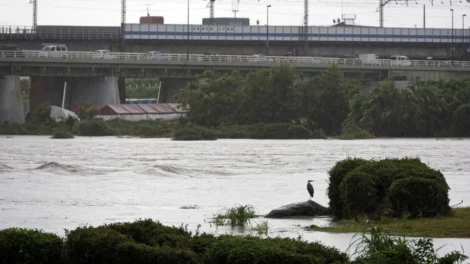 Tufão Jangmi deixa feridos, corta energia e cancela 600 voos no Japão