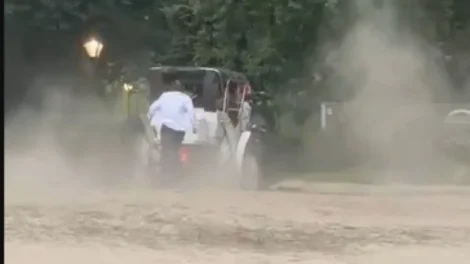 Turista morre em passeio de carruagem depois de cavalo perder o controle