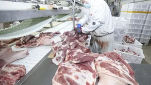 União Europeia confirma veto à carne brasileira e suspende importações a partir de setembro