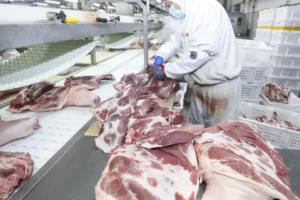 União Europeia confirma veto à carne brasileira e suspende importações a partir de setembro