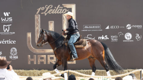1º Leilão WJ atrai investidores internacionais e projeta Haras para todo o Brasil