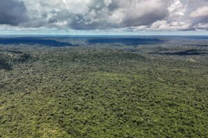 Adversária em campo, Noruega é parceira de ações ambientais do Brasil