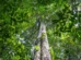Amazônia tem menor área sob alerta de desmatamento em 10 anos