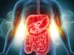 Arroz ou macarrão? Médicos revelam qual é melhor para o intestino