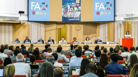 Brasil continua fora do Mapa da Fome, aponta relatório da ONU