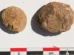 Cientistas acham batatas congeladas há 500 anos, e aparência surpreende