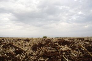 Conservação e manejo de solo são temas de série de Dias de Campo promovida pelo Sistema Faep