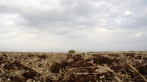 Conservação e manejo de solo são temas de série de Dias de Campo promovida pelo Sistema Faep