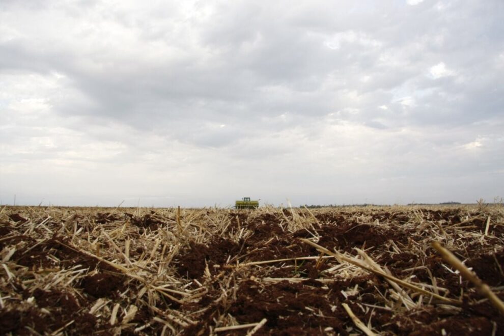 Conservação e manejo de solo são temas de série de Dias de Campo promovida pelo Sistema Faep
