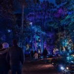 Curitiba vive temporada de inverno com atrações para toda a família até agosto