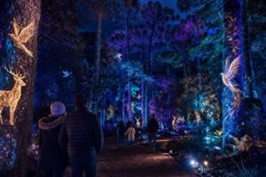 Curitiba vive temporada de inverno com atrações para toda a família até agosto