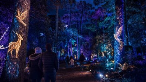 Curitiba vive temporada de inverno com atrações para toda a família até agosto