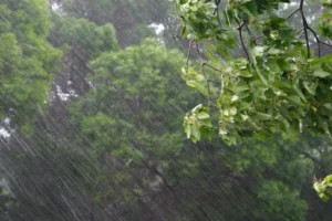 El Niño é um dos causadores do vendaval, mas não o único fator, dizem meteorologistas
