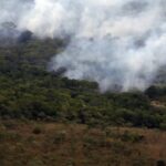Emissão global de gases por incêndios é a menor em 24 anos, revela levantamento do Observatório Copernicus