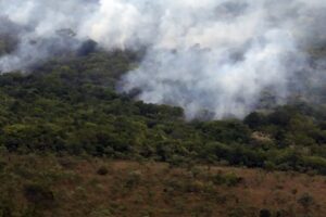 Emissão global de gases por incêndios é a menor em 24 anos, revela levantamento do Observatório Copernicus