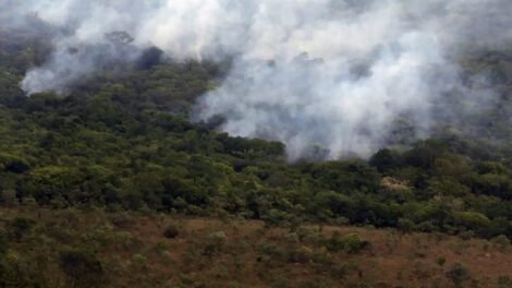 Emissão global de gases por incêndios é a menor em 24 anos, revela levantamento do Observatório Copernicus